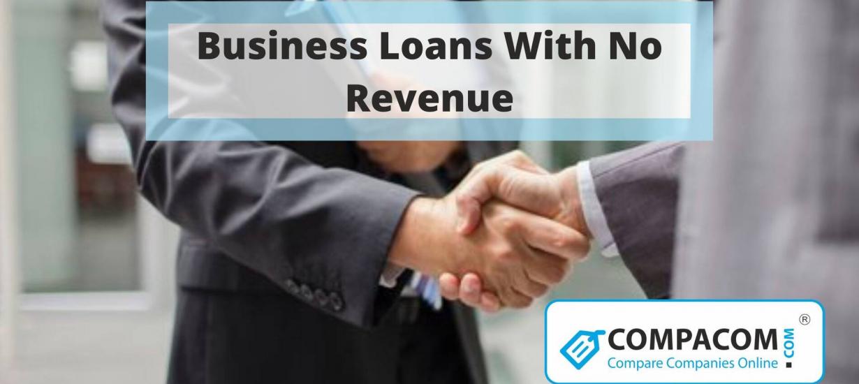 Business Loans with No Income