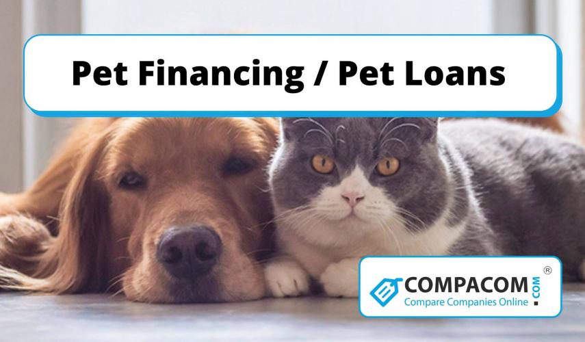 Get the necessary financing to buy or take care of your pet. Pet loans, Vet loans are available online.