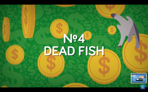 Dead fish.