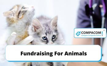 Animal Fundraising